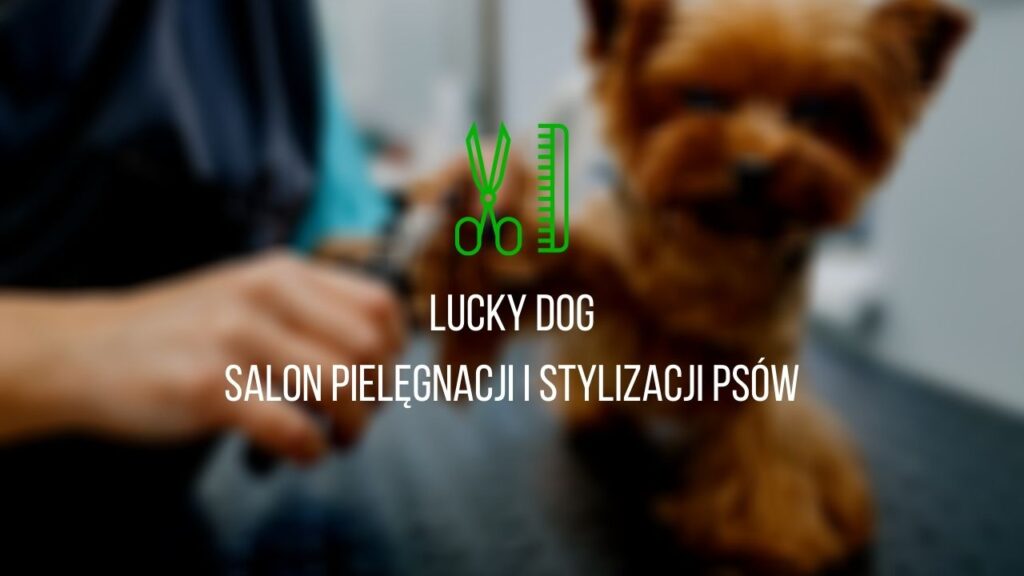 Lucky Dog – Salon Pielęgnacji i Stylizacji Psów(1)